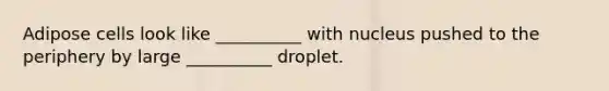 Adipose cells look like __________ with nucleus pushed to the periphery by large __________ droplet.