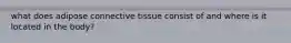 what does adipose connective tissue consist of and where is it located in the body?