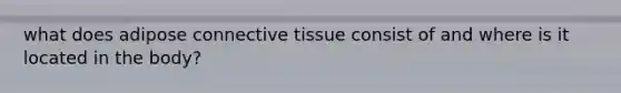 what does adipose connective tissue consist of and where is it located in the body?