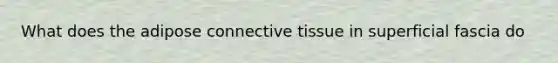 What does the adipose connective tissue in superficial fascia do