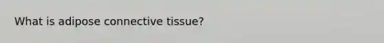 What is adipose connective tissue?