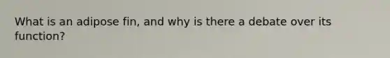 What is an adipose fin, and why is there a debate over its function?