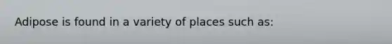 Adipose is found in a variety of places such as: