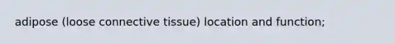 adipose (loose connective tissue) location and function;