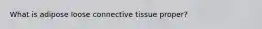 What is adipose loose connective tissue proper?