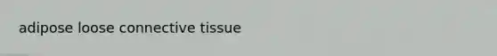 adipose loose <a href='https://www.questionai.com/knowledge/kYDr0DHyc8-connective-tissue' class='anchor-knowledge'>connective tissue</a>