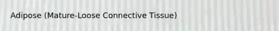 Adipose (Mature-Loose Connective Tissue)