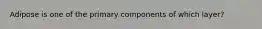 Adipose is one of the primary components of which layer?
