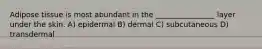 Adipose tissue is most abundant in the ________________ layer under the skin. A) epidermal B) dermal C) subcutaneous D) transdermal