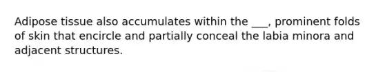 Adipose tissue also accumulates within the ___, prominent folds of skin that encircle and partially conceal the labia minora and adjacent structures.