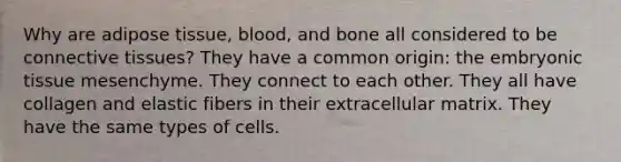 Why are adipose tissue, blood, and bone all considered to be connective tissues? They have a common origin: the embryonic tissue mesenchyme. They connect to each other. They all have collagen and elastic fibers in their extracellular matrix. They have the same types of cells.