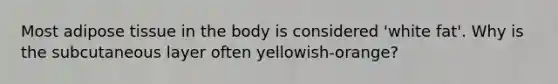 Most adipose tissue in the body is considered 'white fat'. Why is the subcutaneous layer often yellowish-orange?