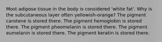 Most adipose tissue in the body is considered 'white fat'. Why is the subcutaneous layer often yellowish-orange? The pigment carotene is stored there. The pigment hemoglobin is stored there. The pigment pheomelanin is stored there. The pigment eumelanin is stored there. The pigment keratin is stored there.