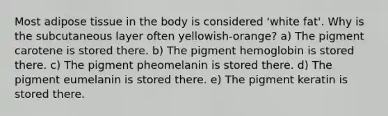 Most adipose tissue in the body is considered 'white fat'. Why is the subcutaneous layer often yellowish-orange? a) The pigment carotene is stored there. b) The pigment hemoglobin is stored there. c) The pigment pheomelanin is stored there. d) The pigment eumelanin is stored there. e) The pigment keratin is stored there.