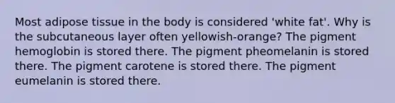 Most adipose tissue in the body is considered 'white fat'. Why is the subcutaneous layer often yellowish-orange? The pigment hemoglobin is stored there. The pigment pheomelanin is stored there. The pigment carotene is stored there. The pigment eumelanin is stored there.