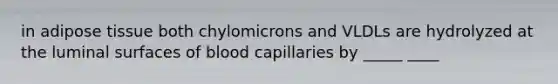 in adipose tissue both chylomicrons and VLDLs are hydrolyzed at the luminal surfaces of blood capillaries by _____ ____