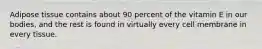 Adipose tissue contains about 90 percent of the vitamin E in our bodies, and the rest is found in virtually every cell membrane in every tissue.