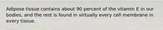 Adipose tissue contains about 90 percent of the vitamin E in our bodies, and the rest is found in virtually every cell membrane in every tissue.