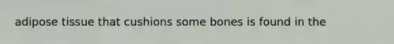 adipose tissue that cushions some bones is found in the
