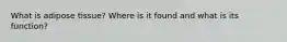 What is adipose tissue? Where is it found and what is its function?