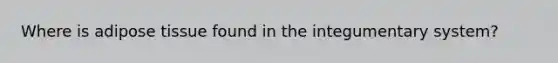 Where is adipose tissue found in the integumentary system?