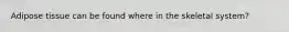 Adipose tissue can be found where in the skeletal system?