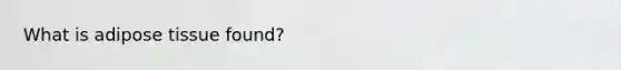 What is adipose tissue found?