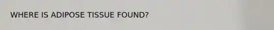 WHERE IS ADIPOSE TISSUE FOUND?