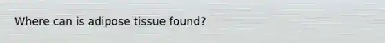 Where can is adipose tissue found?