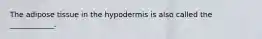 The adipose tissue in the hypodermis is also called the ____________.