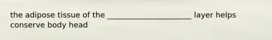 the adipose tissue of the ______________________ layer helps conserve body head