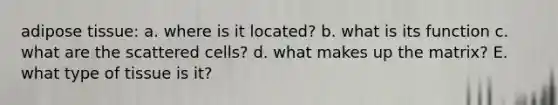 adipose tissue: a. where is it located? b. what is its function c. what are the scattered cells? d. what makes up the matrix? E. what type of tissue is it?