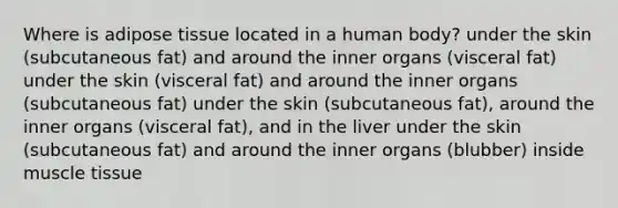 Where is adipose tissue located in a human body? under the skin (subcutaneous fat) and around the inner organs (visceral fat) under the skin (visceral fat) and around the inner organs (subcutaneous fat) under the skin (subcutaneous fat), around the inner organs (visceral fat), and in the liver under the skin (subcutaneous fat) and around the inner organs (blubber) inside muscle tissue