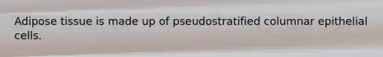 Adipose tissue is made up of pseudostratified columnar epithelial cells.