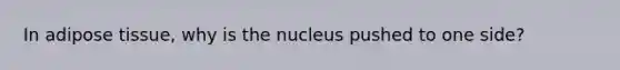 In adipose tissue, why is the nucleus pushed to one side?