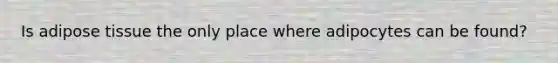 Is adipose tissue the only place where adipocytes can be found?