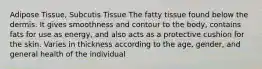 Adipose Tissue, Subcutis Tissue The fatty tissue found below the dermis. It gives smoothness and contour to the body, contains fats for use as energy, and also acts as a protective cushion for the skin. Varies in thickness according to the age, gender, and general health of the individual