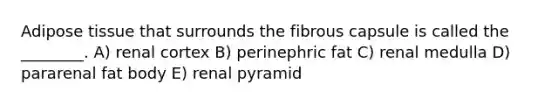 Adipose tissue that surrounds the fibrous capsule is called the ________. A) renal cortex B) perinephric fat C) renal medulla D) pararenal fat body E) renal pyramid