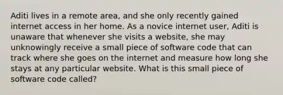 Aditi lives in a remote area, and she only recently gained internet access in her home. As a novice internet user, Aditi is unaware that whenever she visits a website, she may unknowingly receive a small piece of software code that can track where she goes on the internet and measure how long she stays at any particular website. What is this small piece of software code called?