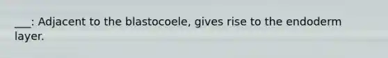 ___: Adjacent to the blastocoele, gives rise to the endoderm layer.