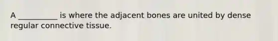 A __________ is where the adjacent bones are united by dense regular connective tissue.