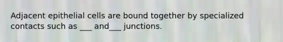 Adjacent epithelial cells are bound together by specialized contacts such as ___ and___ junctions.