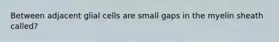 Between adjacent glial cells are small gaps in the myelin sheath called?