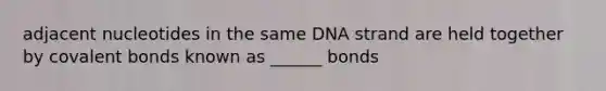 adjacent nucleotides in the same DNA strand are held together by covalent bonds known as ______ bonds