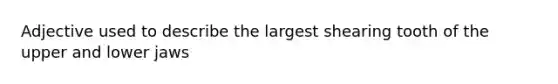 Adjective used to describe the largest shearing tooth of the upper and lower jaws
