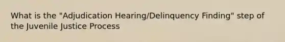 What is the "Adjudication Hearing/Delinquency Finding" step of the Juvenile Justice Process