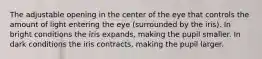 The adjustable opening in the center of the eye that controls the amount of light entering the eye (surrounded by the iris). In bright conditions the iris expands, making the pupil smaller. In dark conditions the iris contracts, making the pupil larger.