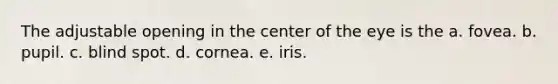 The adjustable opening in the center of the eye is the a. fovea. b. pupil. c. blind spot. d. cornea. e. iris.