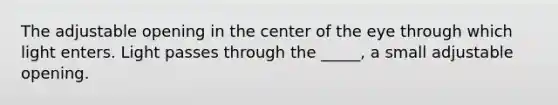 The adjustable opening in the center of the eye through which light enters. Light passes through the _____, a small adjustable opening.
