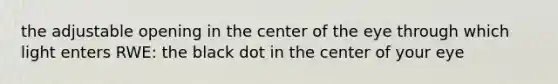 the adjustable opening in the center of the eye through which light enters RWE: the black dot in the center of your eye